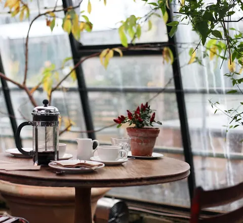 Fikabord med kaffe i grönskan i caféet