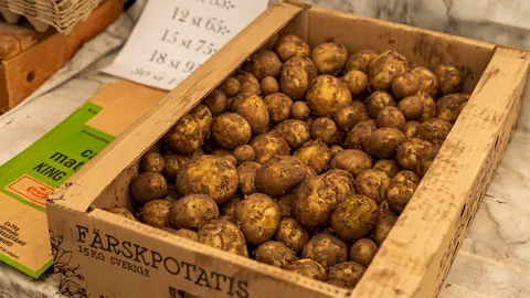 Nyskördad potatis