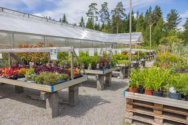Lindesbergs Handelsträdgård – bild från butiken och växthusen
