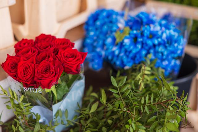 Lindesbergs Handelsträdgård – blommor och växter