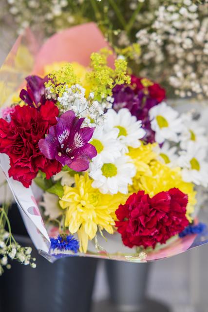 Lindesbergs Handelsträdgård – blommor och växter