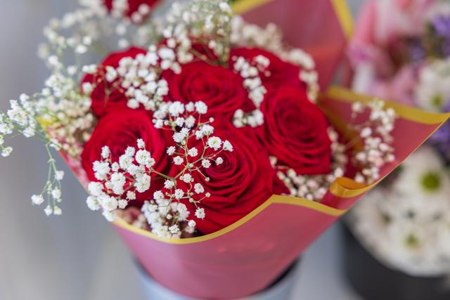 Lindesbergs Handelsträdgård – blommor och växter